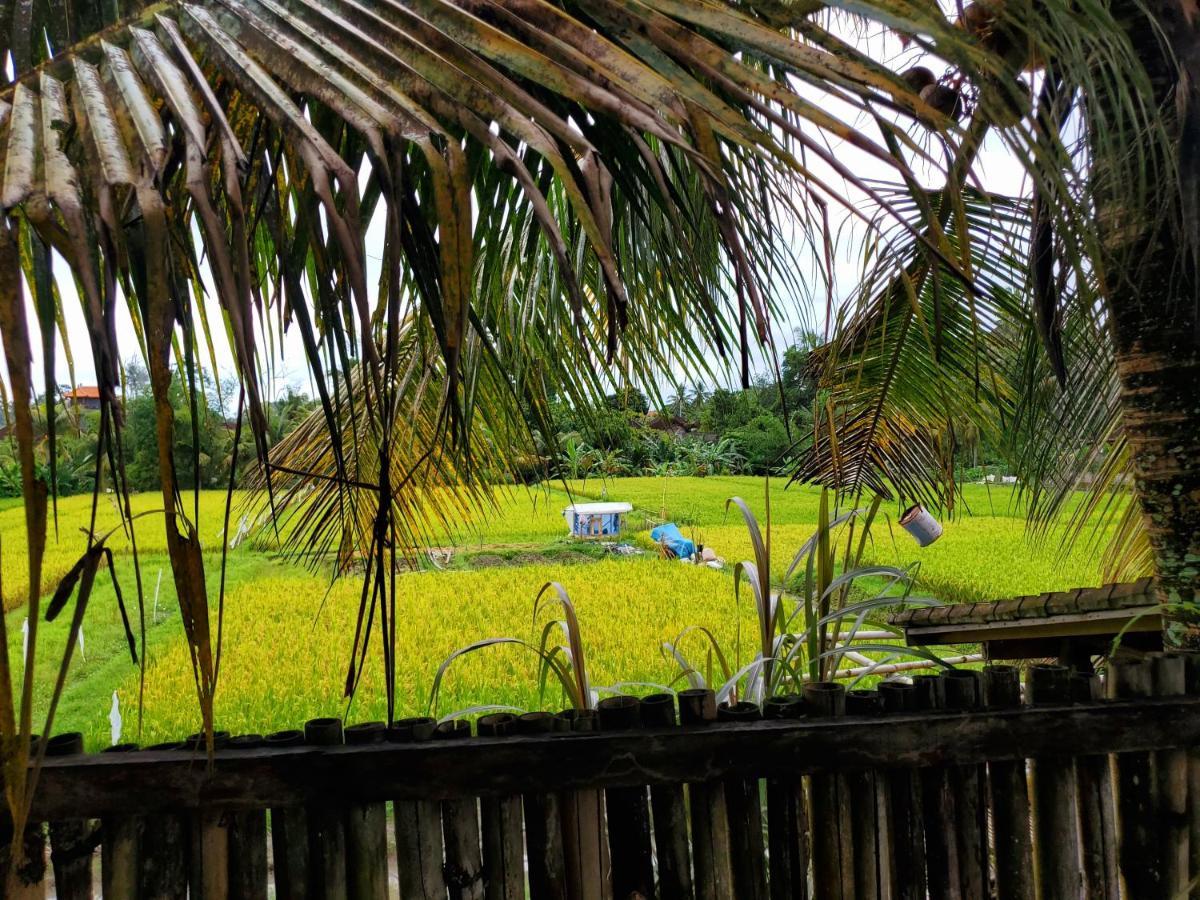 Kakau Villa 2 - Ubud エクステリア 写真